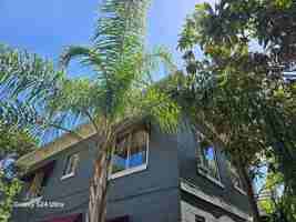 featured image of 7306 Earlwood Ave