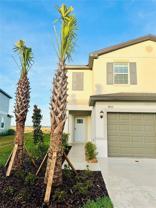 32111 Powderpuff Mimosa Dr - Photo 1 of 1