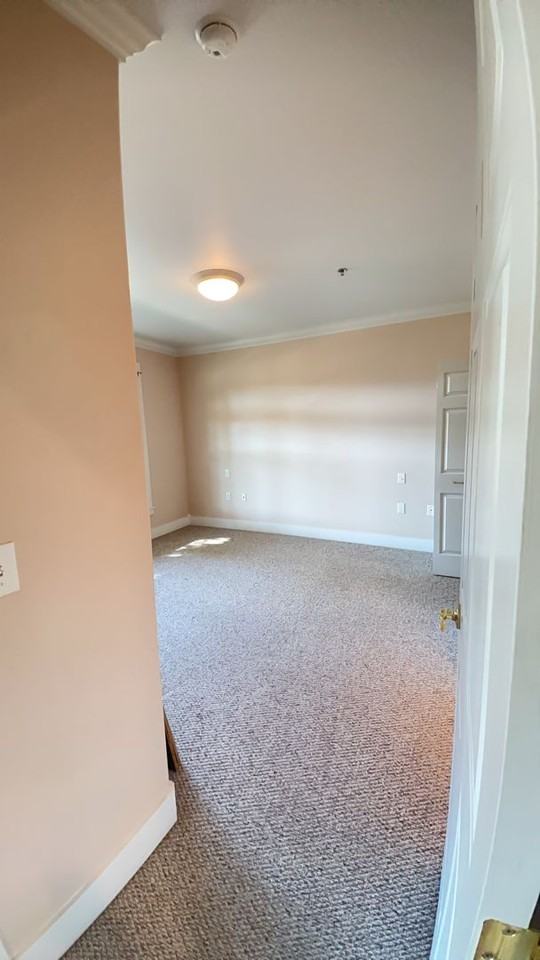 816 Pavilion Pl - Photo 4 of 16