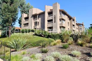 10225 Caminito Cuervo Unit 135  