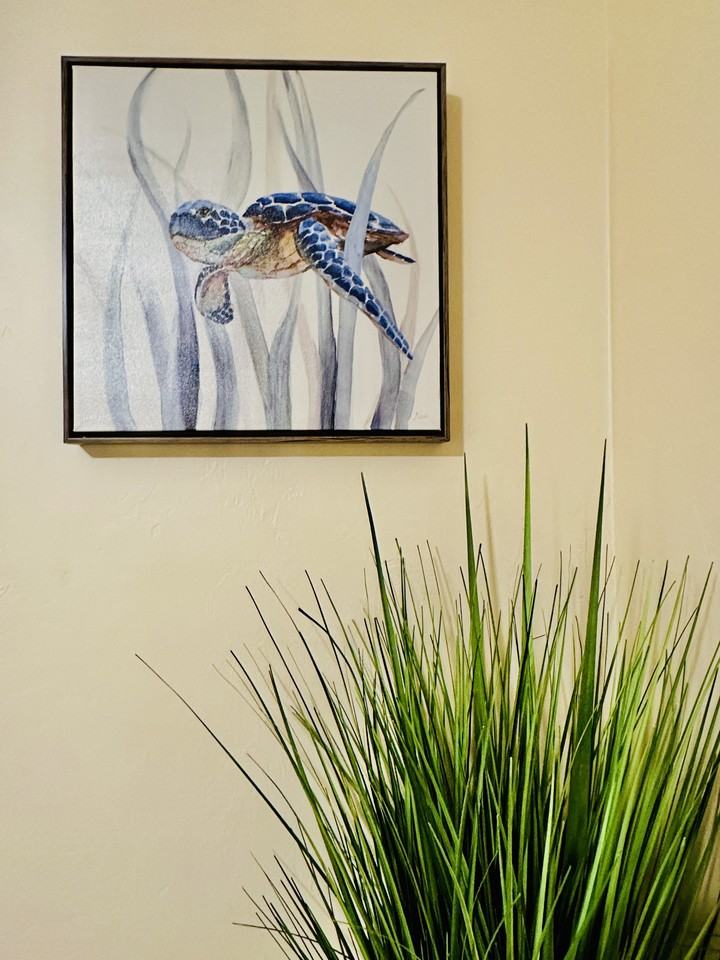 27657 Tennessee St #1 - Photo 3 of 31