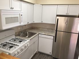 2Bedroom DePaul University Campus PetsWelcome - Photo 1 of 1