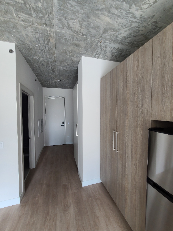 216 W Chicago Ave - Photo 2 of 13