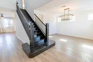 featured image of 82559 Pisa Ct