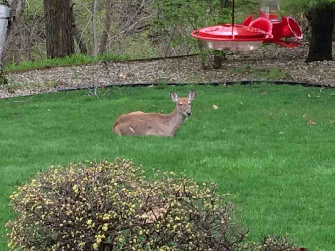 1319 Lewis Ave - Photo 2 of 34