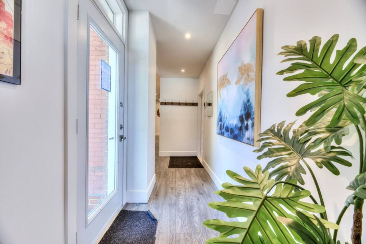 3833 Rue Saint-Denis #1234645P - Photo 6 of 22