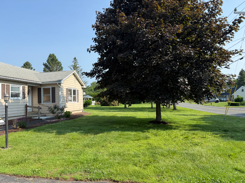 485 Birnie Ave - Photo 2 of 20