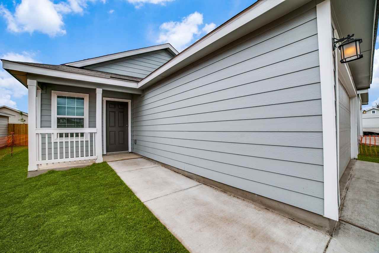 8530 Western Tanager - Photo 2 of 12