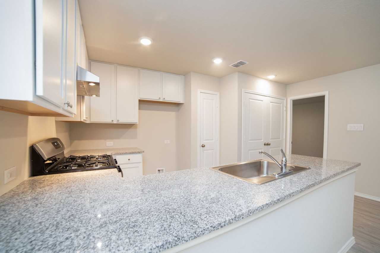 8530 Western Tanager - Photo 5 of 12