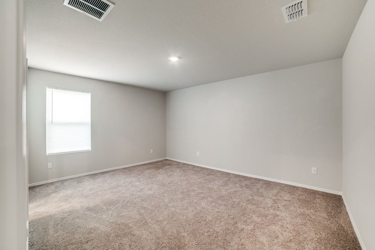 8530 Western Tanager - Photo 7 of 12