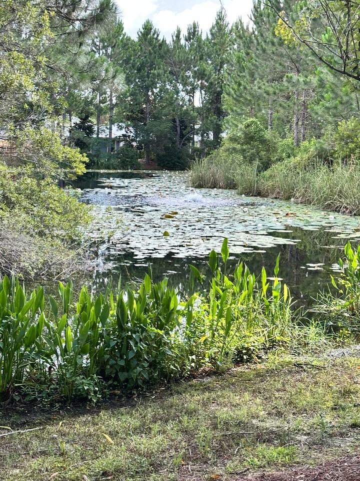 29 Bald Eagle Ct - Photo 3 of 19