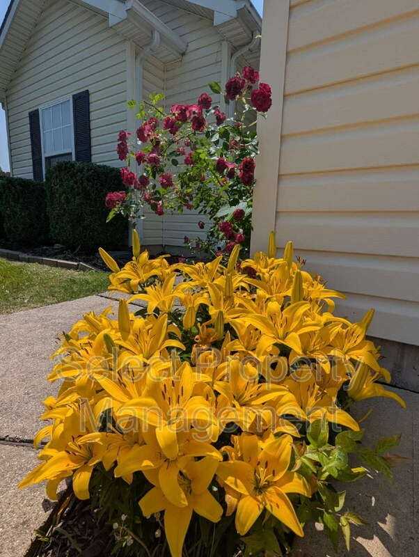 7308 Tayside Trl - Photo 2 of 23