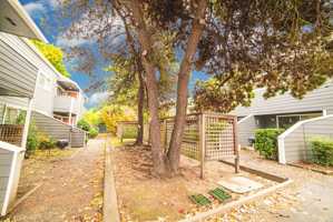 featured image of 11900 Sw Allen Blvd