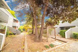 #329 MAPLE VIEW APARTMENTS - Photo 1 of 1