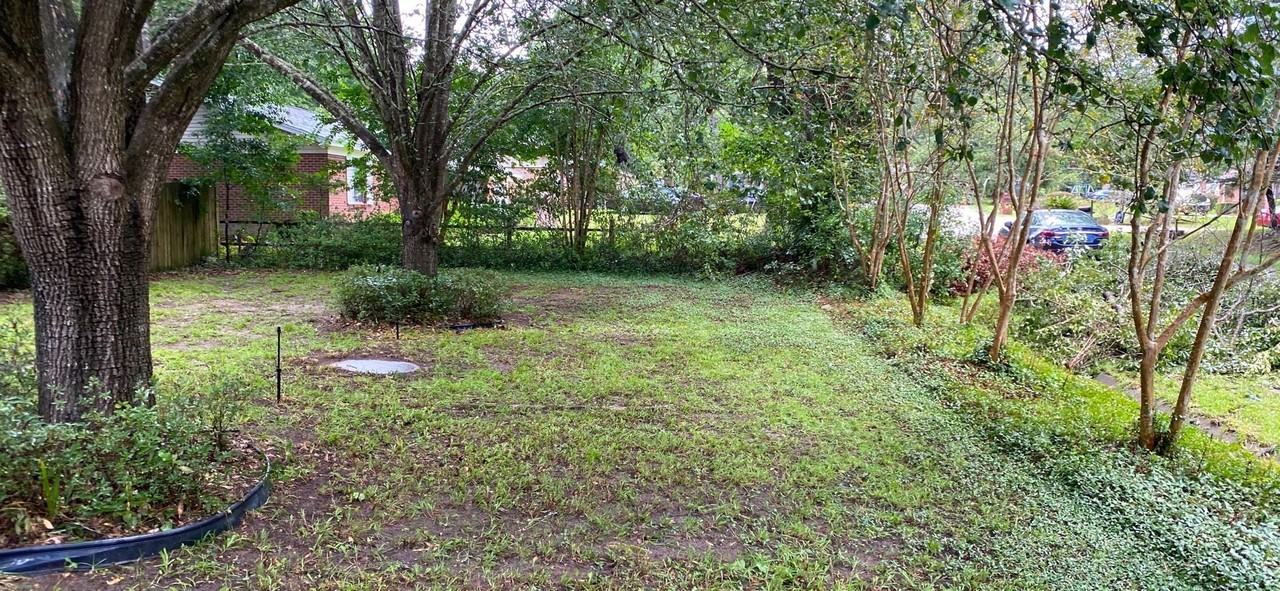 3706 Caracus Ct - Photo 3 of 15