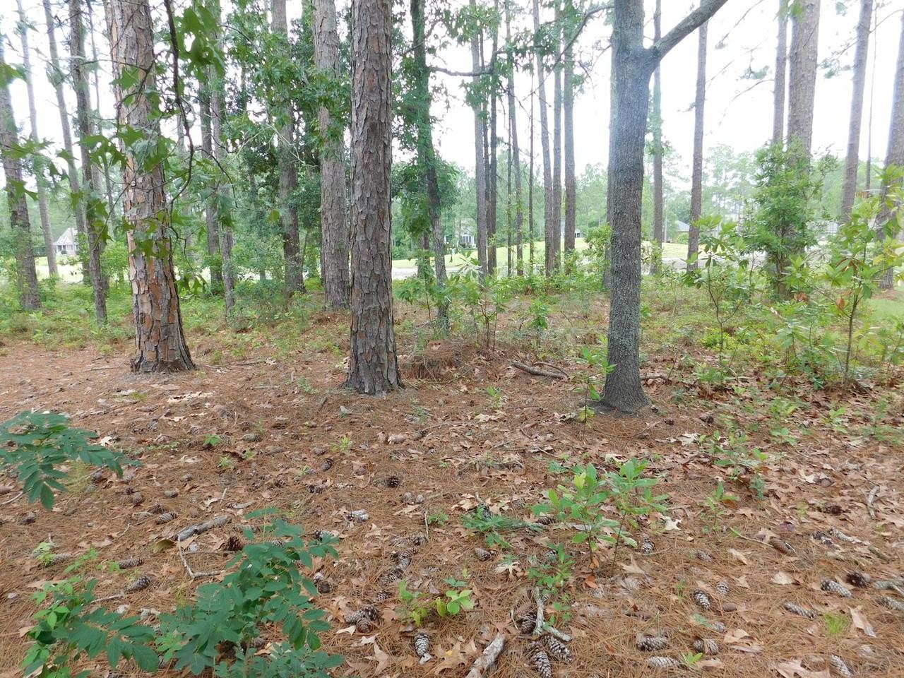 914 Muirfield Pl - Photo 5 of 50