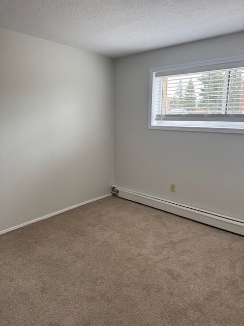 10204 106 Ave Key 67 #104 - Photo 7 of 10