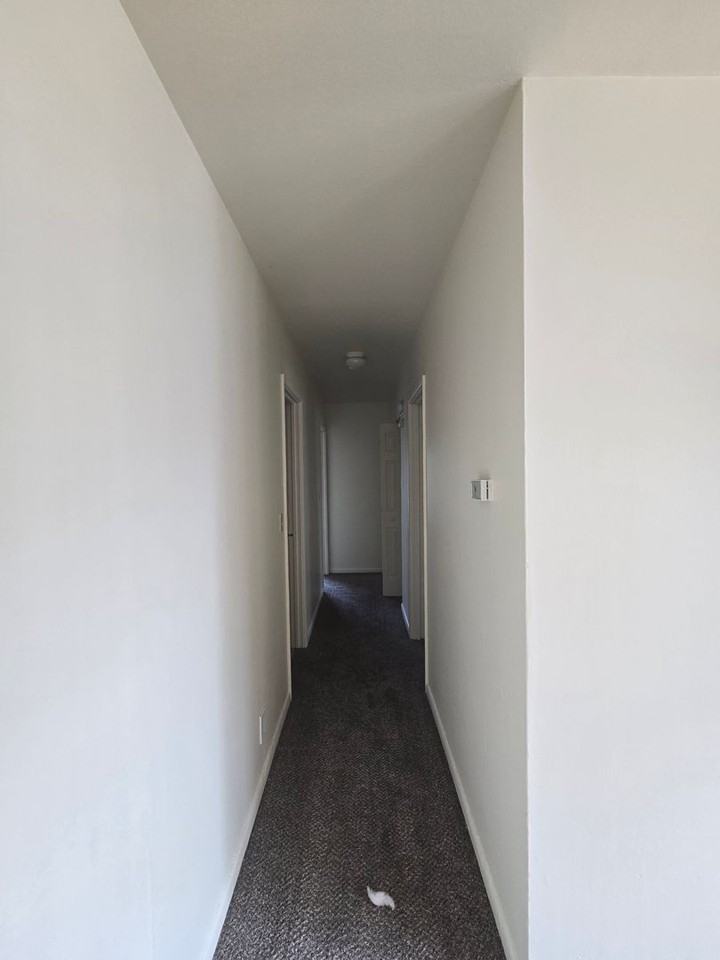 Mulford Park Apartments - Photo 7 of 13