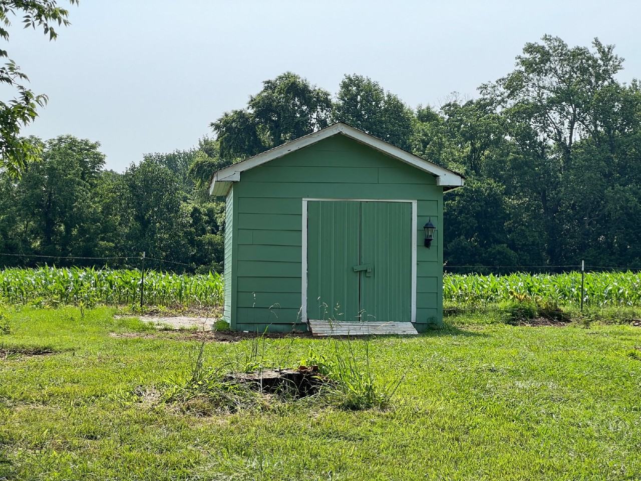 12091 Owens Chapel Rd - Photo 3 of 12
