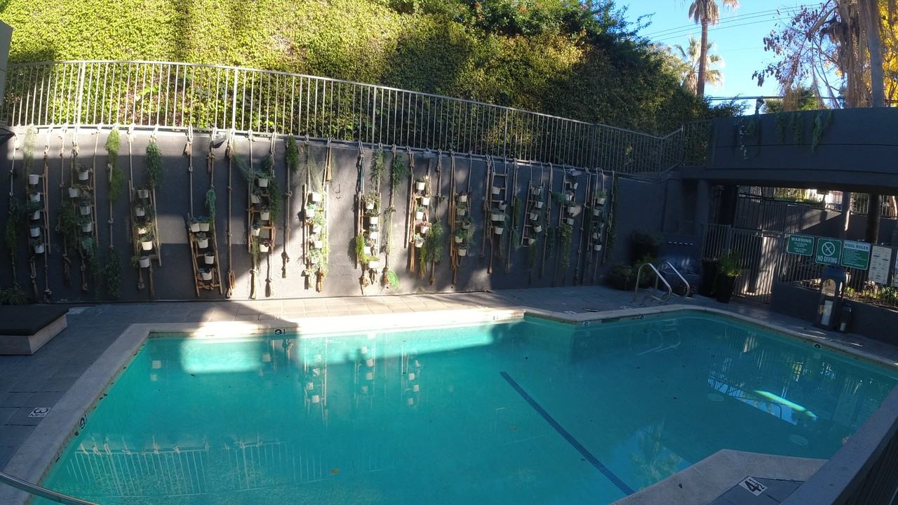 939 Palm Avenue #201 - Photo 5 of 19