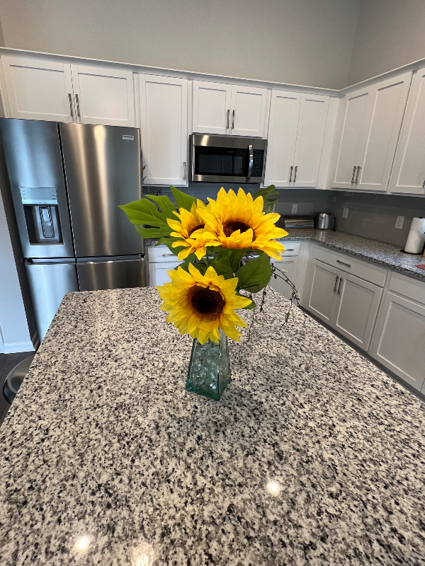 19 Stetson Dr - Photo 4 of 18