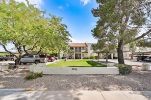 805 East Townley Ave Unit 6  