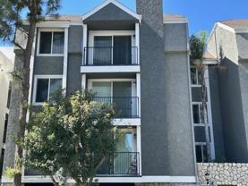 stoner1247 - Photo 1 of 1