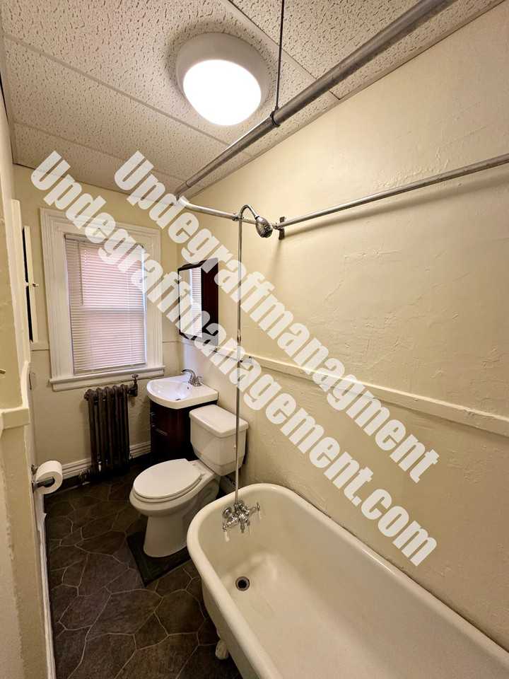 48 Rowley Street - Photo 6 of 6