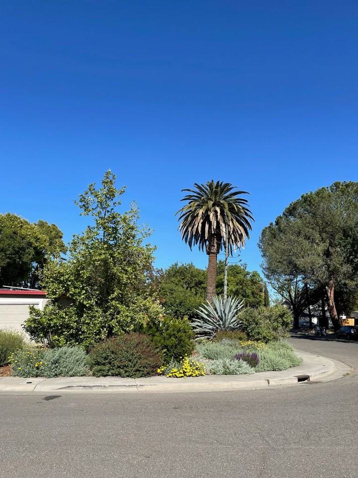 902 Gregory Pl - Photo 3 of 12