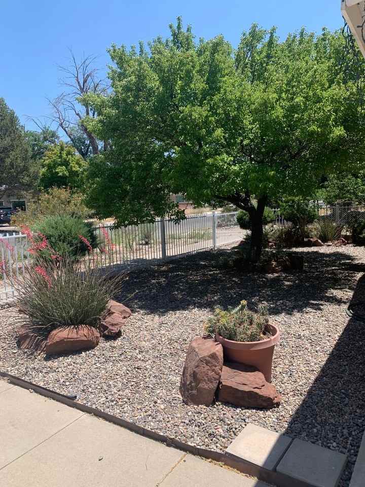 215 Harvard Dr Se - Photo 3 of 25