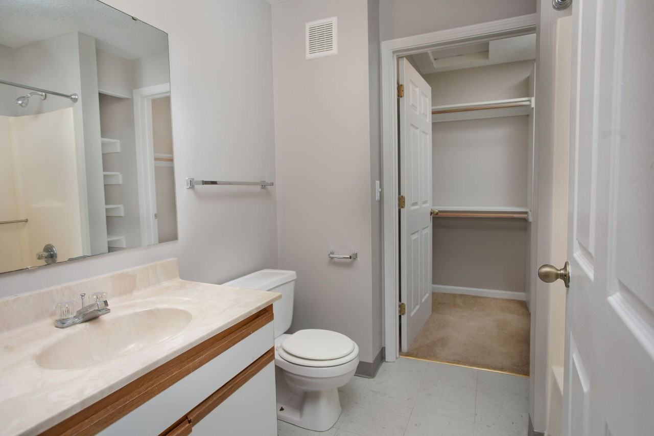 Library Park - Photo 7 of 21