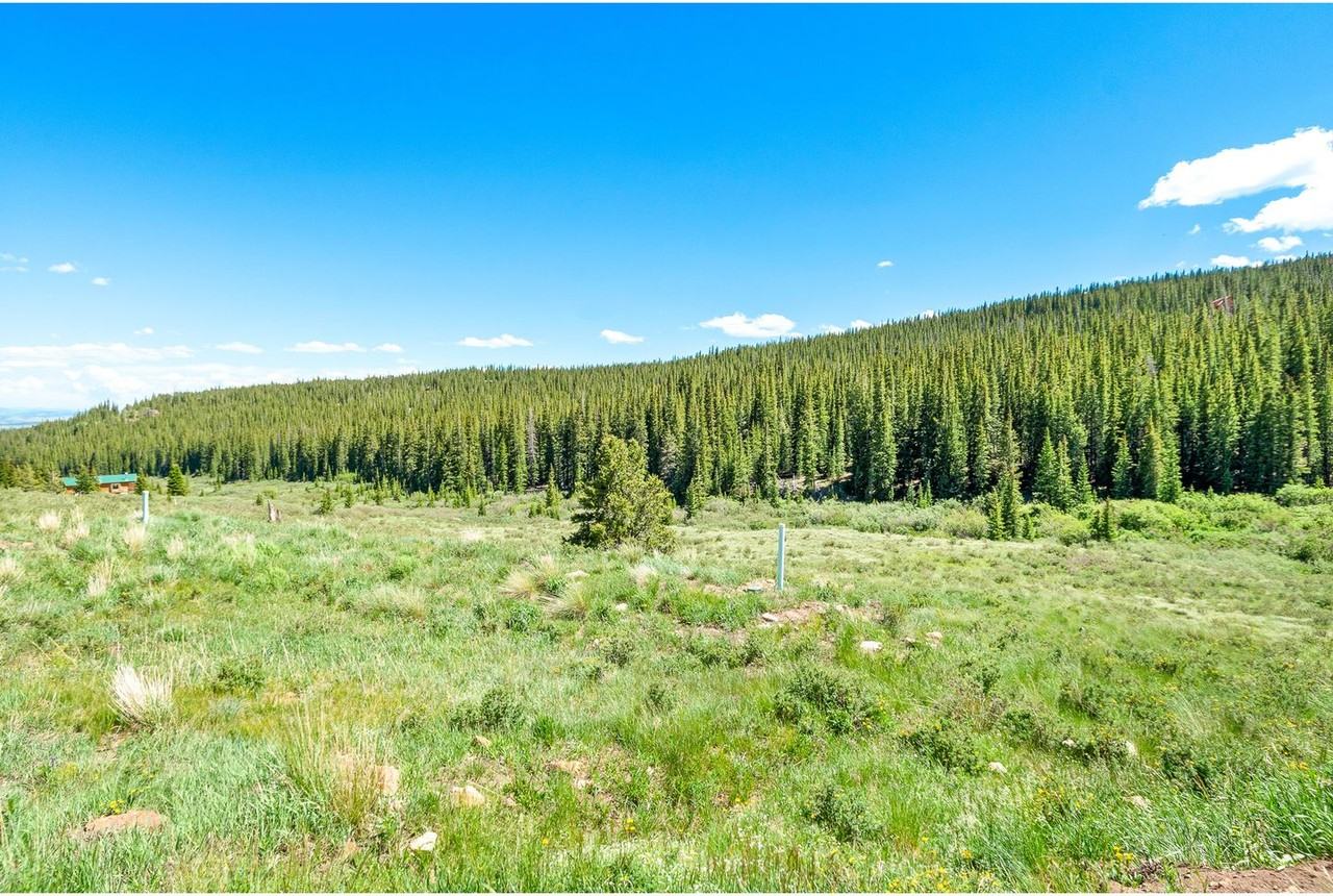 1204 Zebulon Ct - Photo 6 of 48