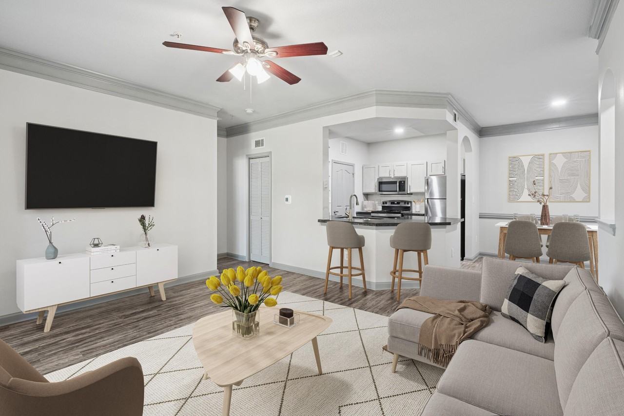 Belrose - Photo 6 of 33