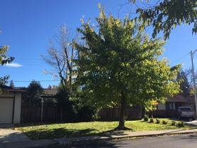1562 Oakroyal Dr - Photo 1 of 1