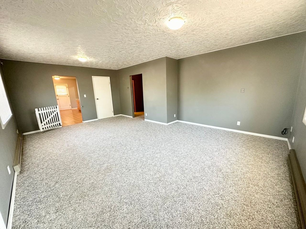 201 S Locust St - Photo 3 of 31