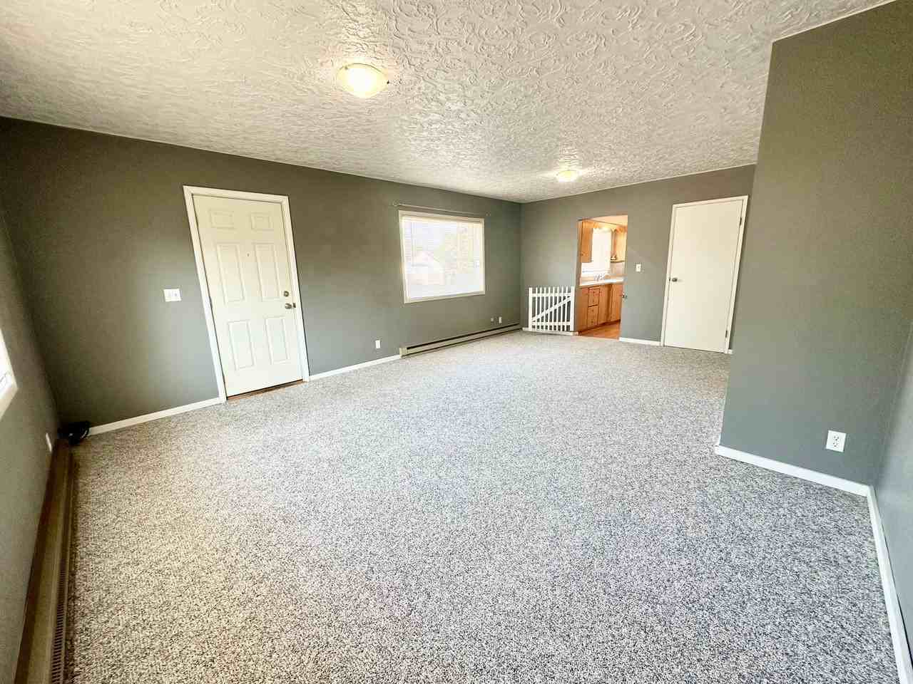 201 S Locust St - Photo 4 of 31