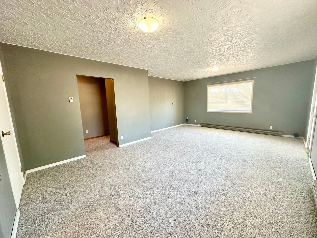 201 S Locust St - Photo 5 of 31