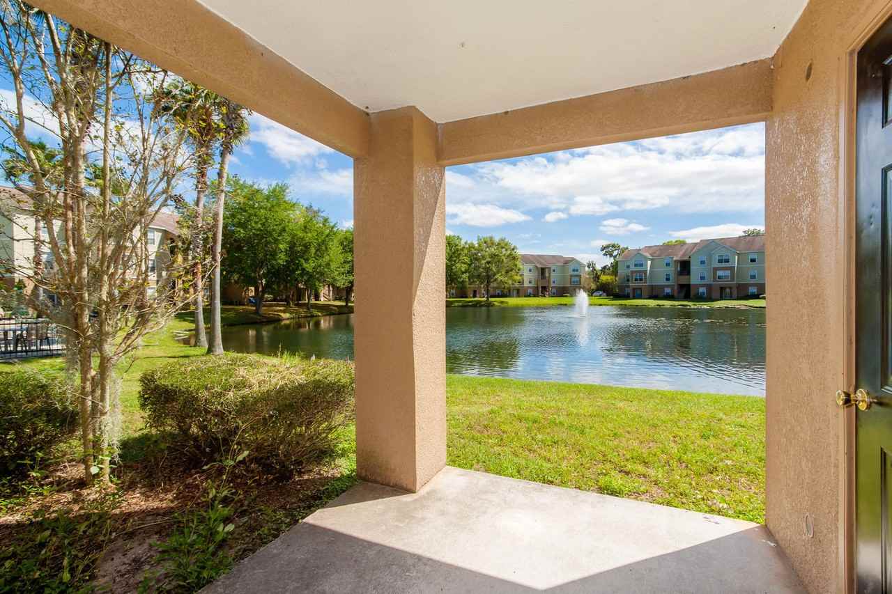 Tall Timbers - Photo 5 of 50