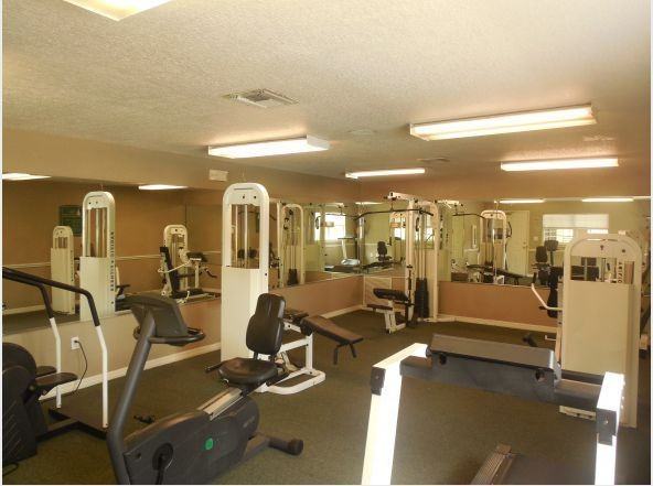 Tall Timbers - Photo 7 of 50