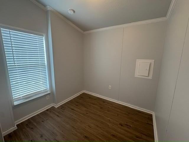 3316 Chicago Bulls Street #3316 - Photo 7 of 10