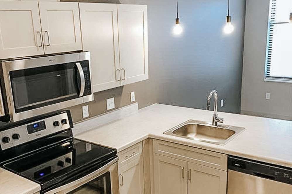 Leo and Alpine - Photo 7 of 21