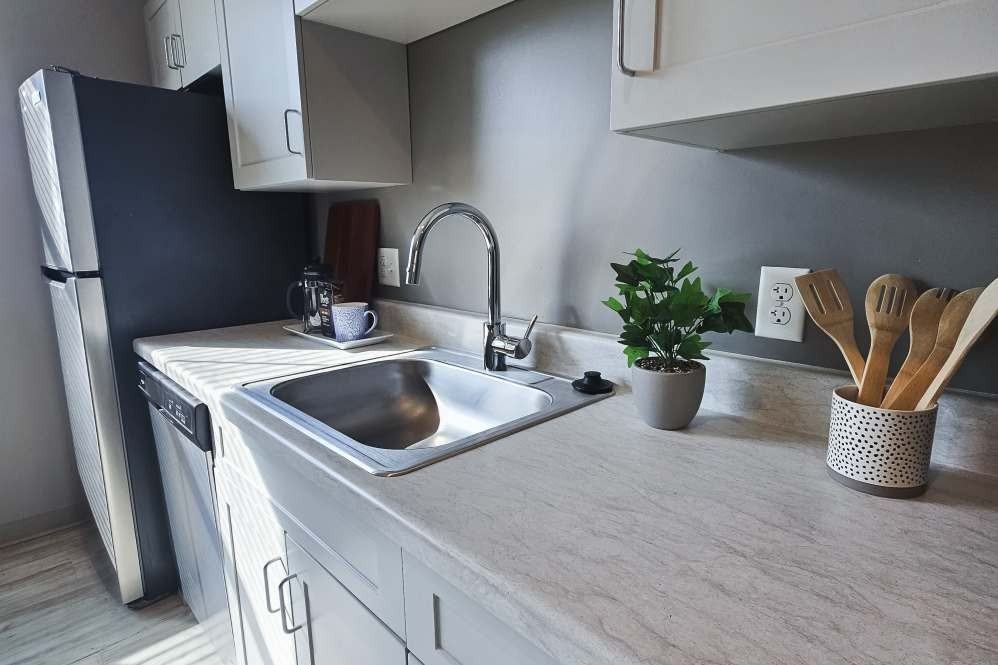 Leo and Alpine - Photo 5 of 21