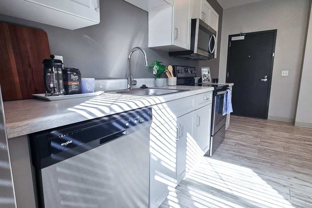 Leo and Alpine - Photo 4 of 21