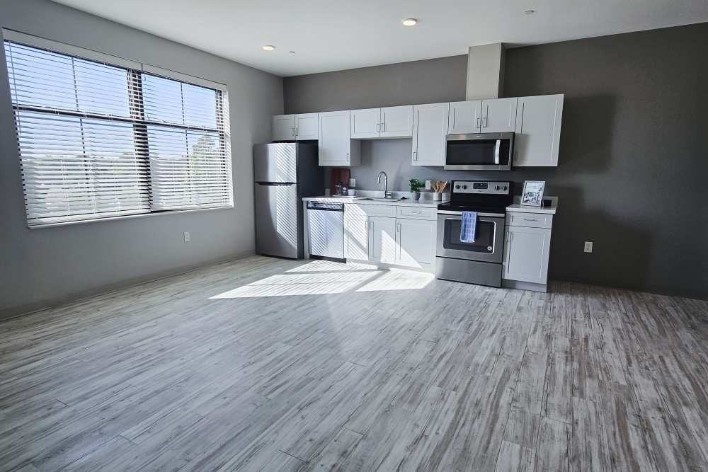 Leo and Alpine - Photo 3 of 21