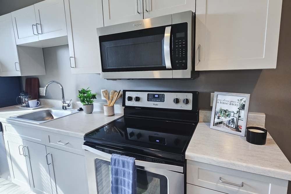 Leo and Alpine - Photo 2 of 21