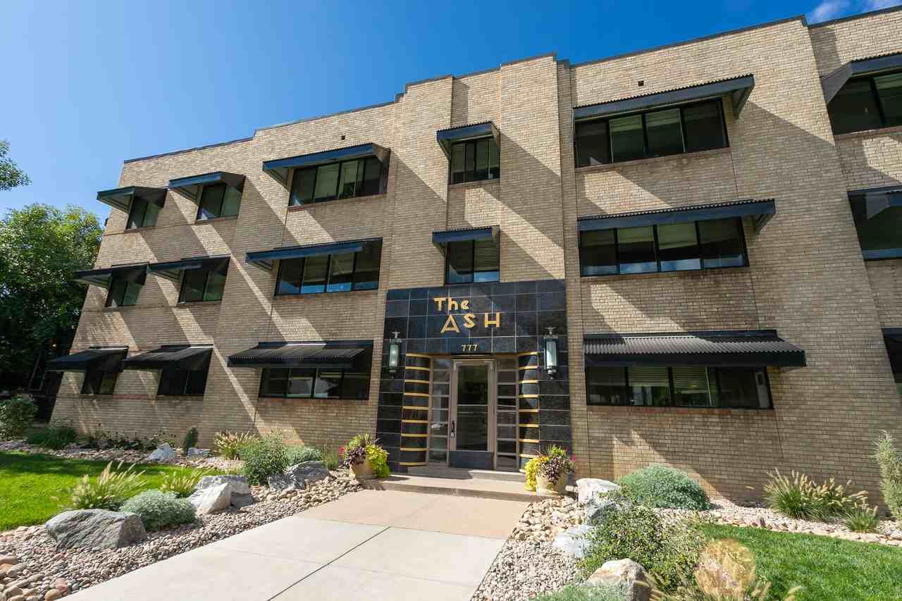 The Ash - Photo 3 of 24