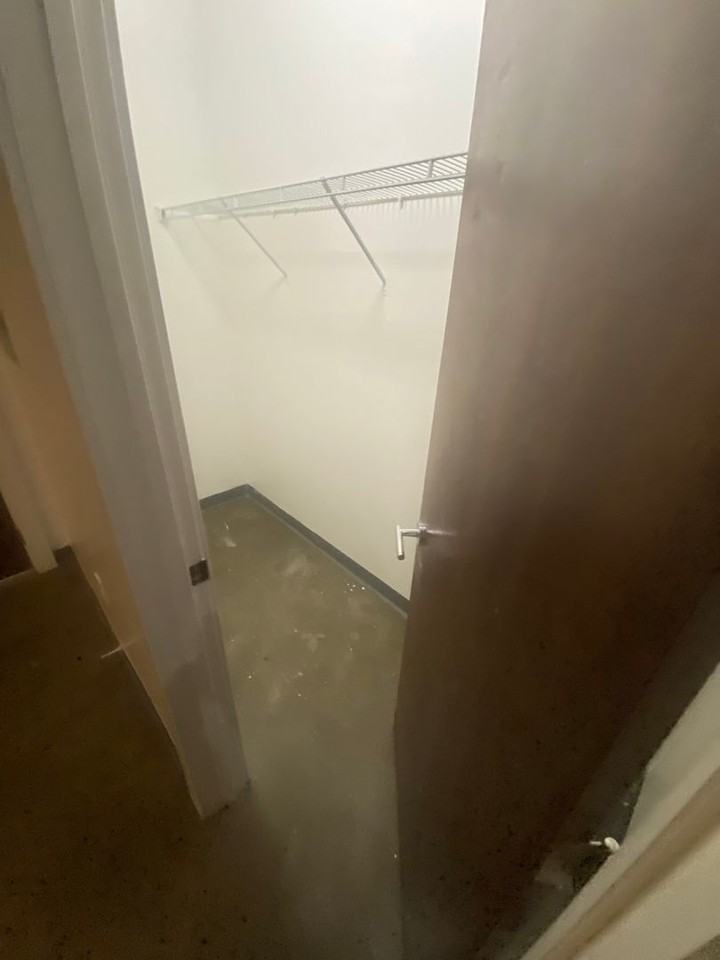 Mitchell Park Plaza Apartment - Photo 4 of 27