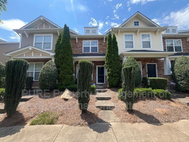 5049 Prosperity Ridge Road - Photo 3 of 20