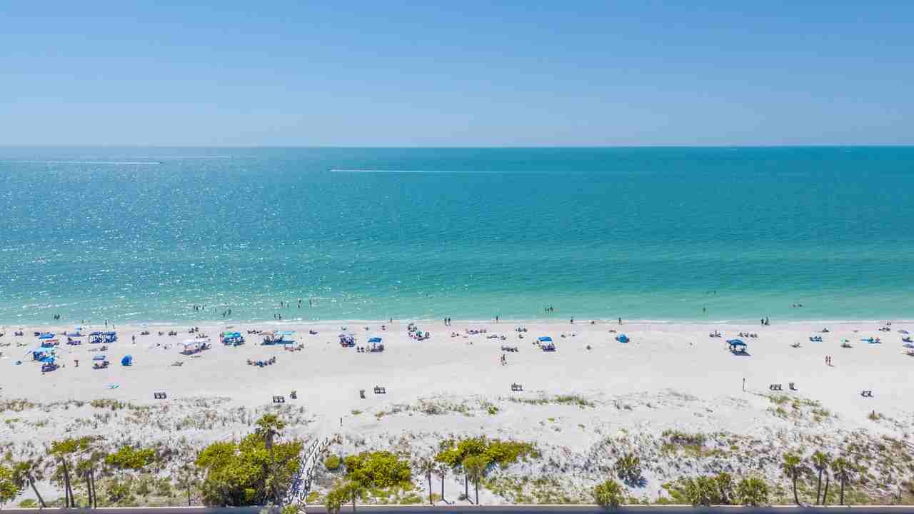 1700 Pass a Grille Way #8 - Photo 2 of 42