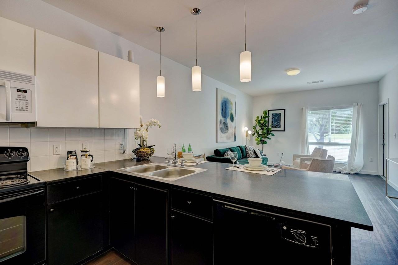 Level Apartments - Photo 4 of 11